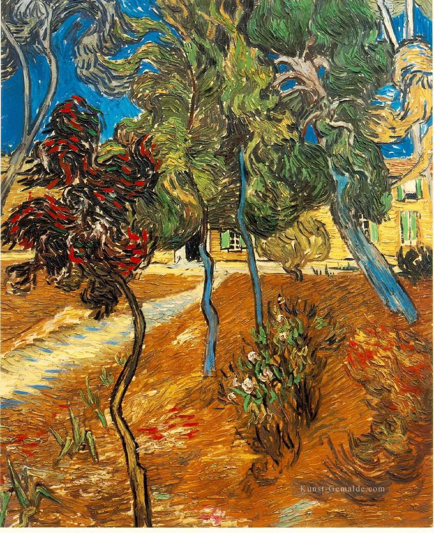 Bäume im Asylum Garden Vincent van Gogh Ölgemälde